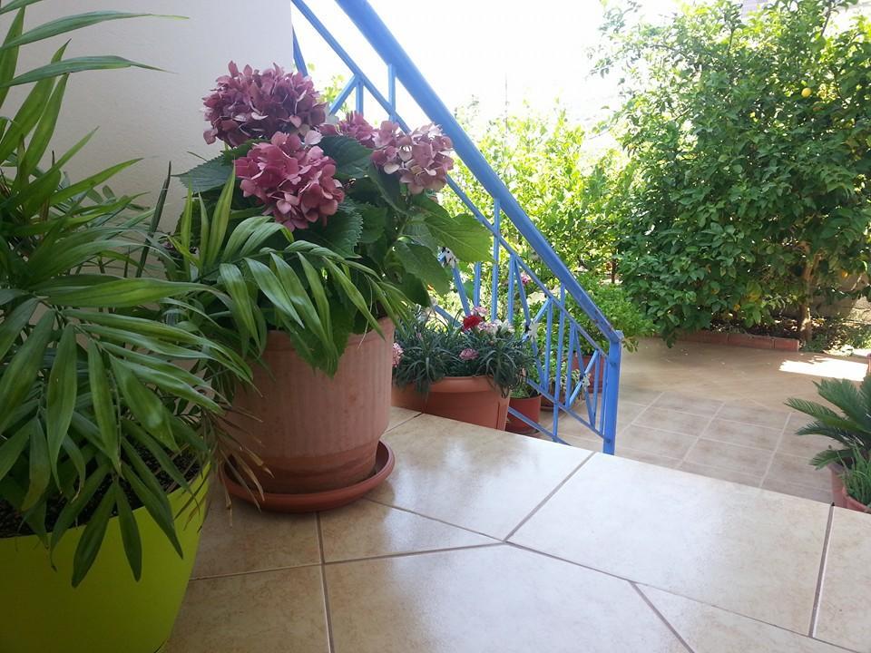 Vita Apartment - Spacious Garden And Balcony 5 Min To Beach & Center Ksamil Exterior foto